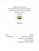 Las 7 líneas estratégicas del gobierno de maduro: Enfoque en el desarrollo nacional e internacional