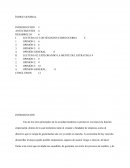 Opinion sobre dirección estratégica