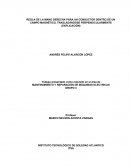 Regla de la mano derecha para un elemento magnetico