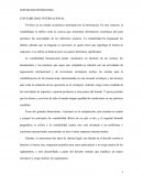 Ensayo sobre Contabilidad Internacional
