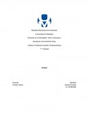 Evolución de la comunicación