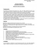 PROYECTO ANUAL DE HUERTA