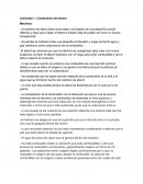 Actividad 1: Combustión del etanol