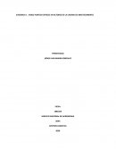 EVIDENCIA 1 : VIDEO PUNTOS CRITICOS EN ACTORES DE LA CADENA DE ABASTECIMIENTO