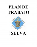 PLAN DE TRABAJO SELVA CENRAL