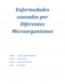 Enfermedades causadas por Diferentes Microorganismos