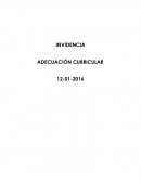 INVIDENCIA ADECUACIÓN CURRICULAR