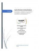 Microeconomía Helados RICSKOSO