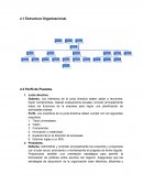 Estructura Organizacional.Perfil de puestos
