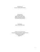 Procesos y teorías administrativas