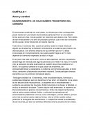 Un clavado a tu cerebro