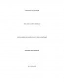 PERCEPCION DE LA UNIVERSIAD DE SANTANDER