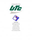 Compañía Ingupsa, S.A. de C.V.