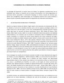 El desarrollo de la comunicación en la infancia temprana