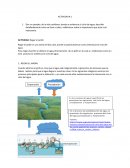 Actividad Regar el jardin