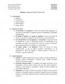 Analisis inicial sistema equipo de futbol