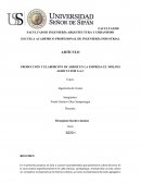 PRODUCCIÓN Y ELABORCIÓN DE ARROZ EN LA EMPRESA EL MOLINO AGRICULTOR S.A.C