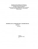 DESARROLLO DE LA CONDICIÓN FÍSICA Y PSICOMOTORA DEL INDIVIDUO