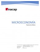 Microecomia. Teoría de oferta