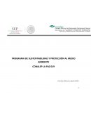 PROGRAMA DE SUSTENTABILIDAD Y PROTECCIÓN AL MEDIO AMBIENTE