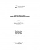 MEDICIÓN DE PUESTOS DE TRABAJO: ANÁLISIS Y MIRADA HACIA LA PROBLEMÁTICA ACTUAL CHILENA