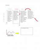 ANSOFF y ciclo de vida