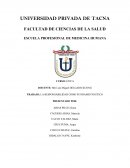 La responsabilidad como fundamento etico