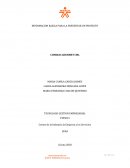 INFORMACION BASICA PARA LA PRESENTAR UN PROYECTO COMIDAS GOURMET CML