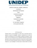 Conducta del Condumidor