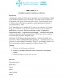 LABORATORIO N° 3-4 NEMÁTODOS, SIPUNCÚLIDOS Y ANÉLIDOS