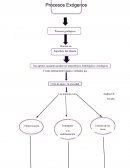 Mapa Conceptual . Procesos Exogenos