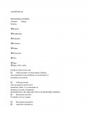 ANTIBIÓTICOS MICROOORGANISMOS