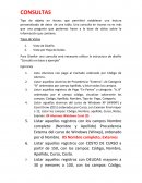 Access ﻿consultas. Tipos de Vistas