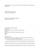 INFORME SOBRE LA UDES, EL CV UDES Y CARACTERISTICAS DE SU MODELO DE FORMACION
