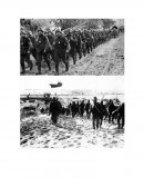 Trabajo sobre La segunda guerra mundial