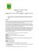 Español. Corrección de la evaluación diagnóstica