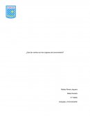 Ensayo sobre el origen del conocimiento