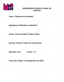 HISTORIA DE LAS PLANTAS