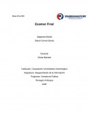 Aseguramiento de la Información Programa: Contaduría Pública