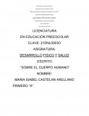 EL CUERPO HUMANO