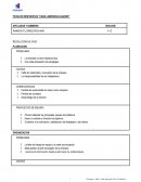 CASO LAMPARAS ALADINO