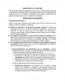 PLANEACIÓN DE LA AUDITORÍA