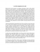 Los niños trabajadores de la calle