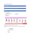 HEMATOLOGíA Valores de laboratorio