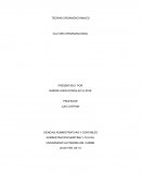 QUE ES LA CULTURA ORGANIZACIONAL?