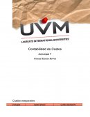 Contabilidad de Costos. Actividad 7