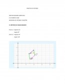 Practica de vectores
