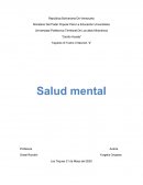 Trayecto III Tramo II Sección “2” Salud mental
