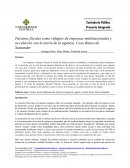 Paraísos fiscales como refugios de empresas multinacionales y su relación con la teoría de la agencia. Caso Banco de Santander
