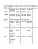 Rubrica_Investigacion Economia y Sociedad